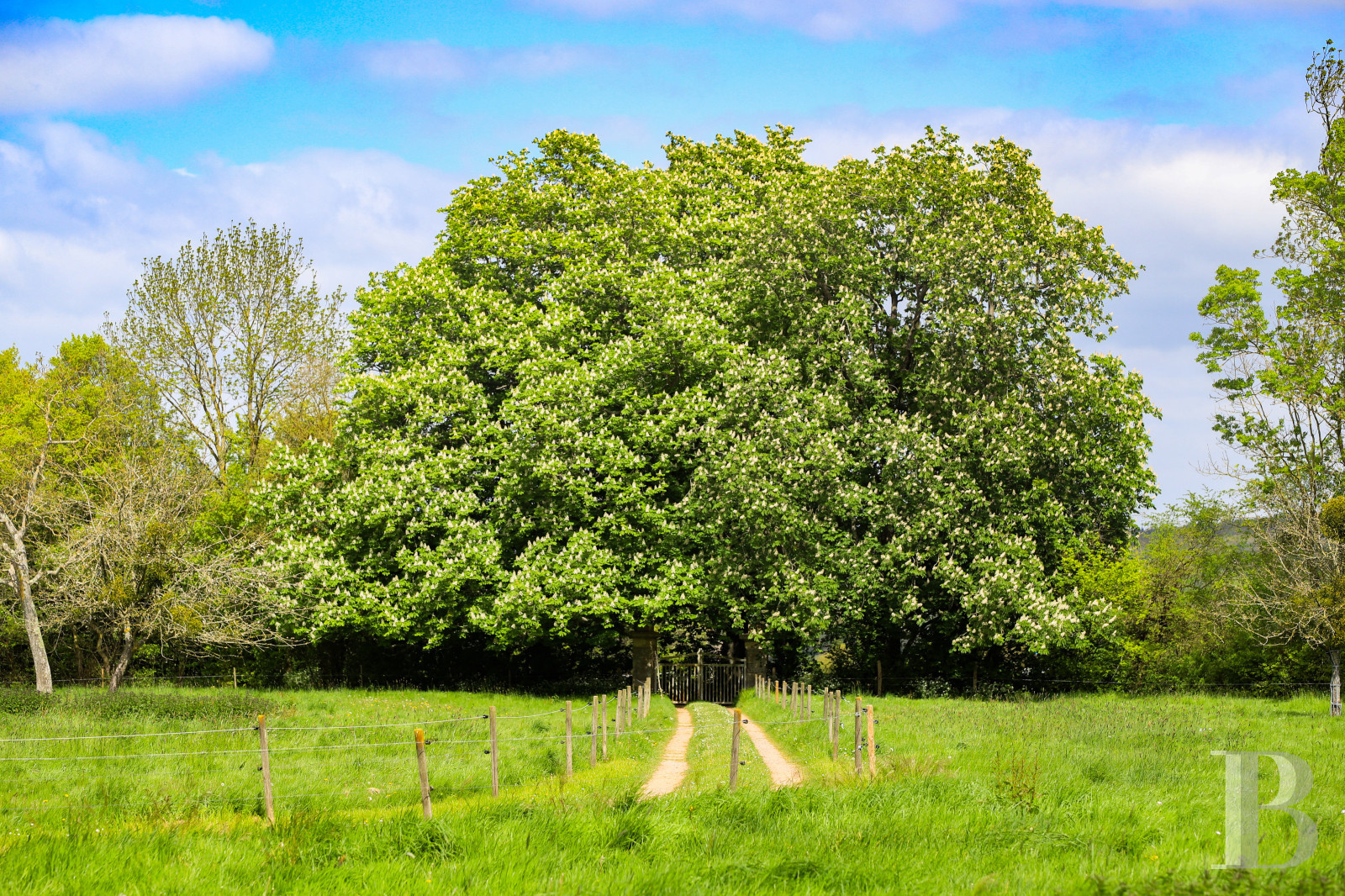 A 19th-century house bordered by a moat, in the Pays d'Auge region, in Normandy  - photo  n°10